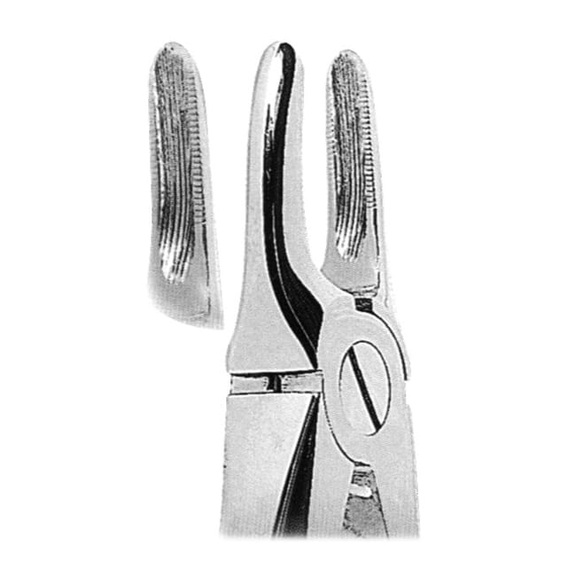 Extracting Forceps Extracting Forceps