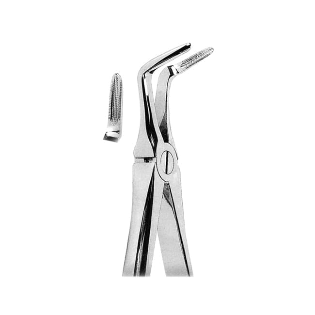 Extracting Forceps Extracting Forceps