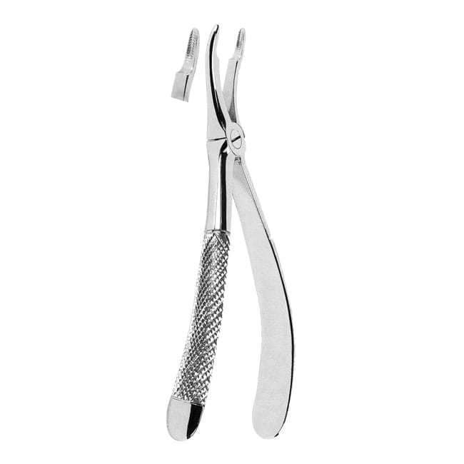 Extracting Forceps Extracting Forceps