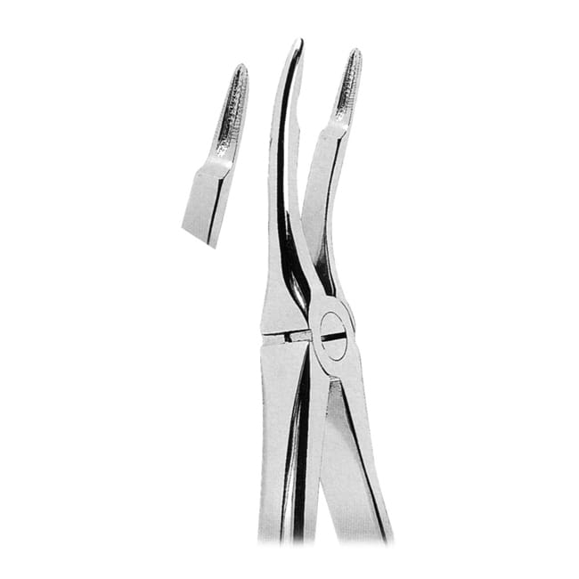 Extracting Forceps Extracting Forceps