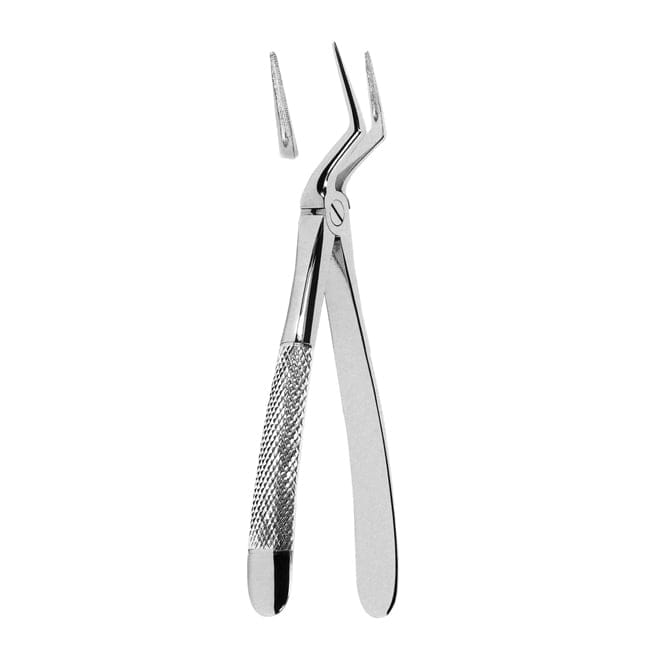 Extracting Forceps Extracting Forceps