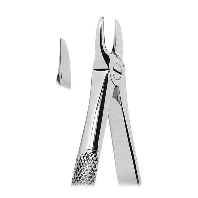 Extracting Forceps Extracting Forceps