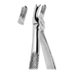 Extracting Forceps