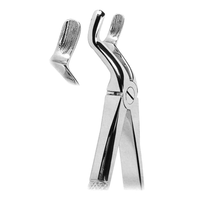 Extracting Forceps Extracting Forceps