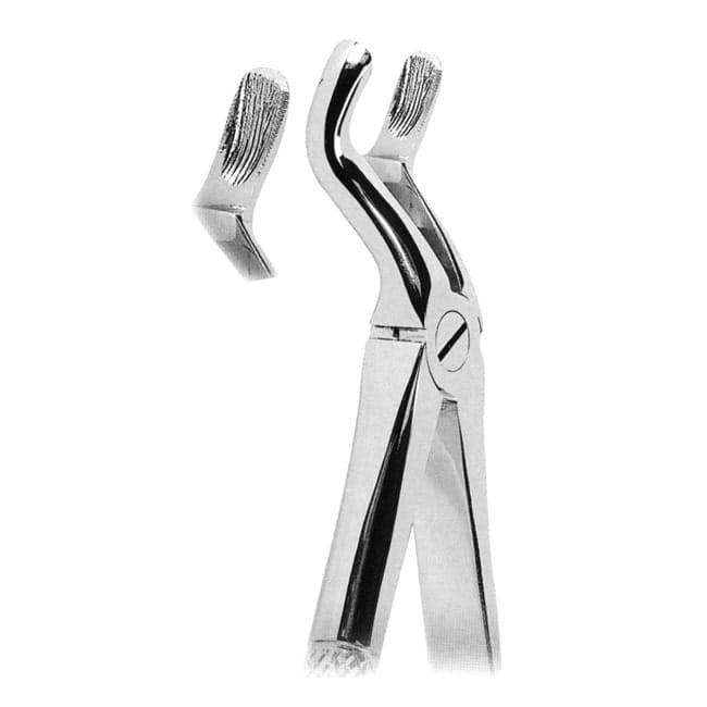 Extracting Forceps Extracting Forceps