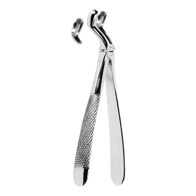 Extracting Forceps Extracting Forceps