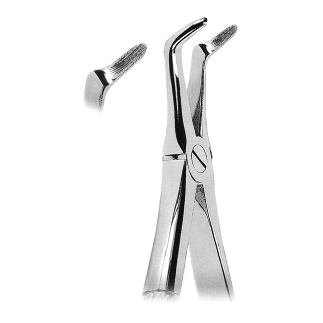 Extracting Forceps Extracting Forceps