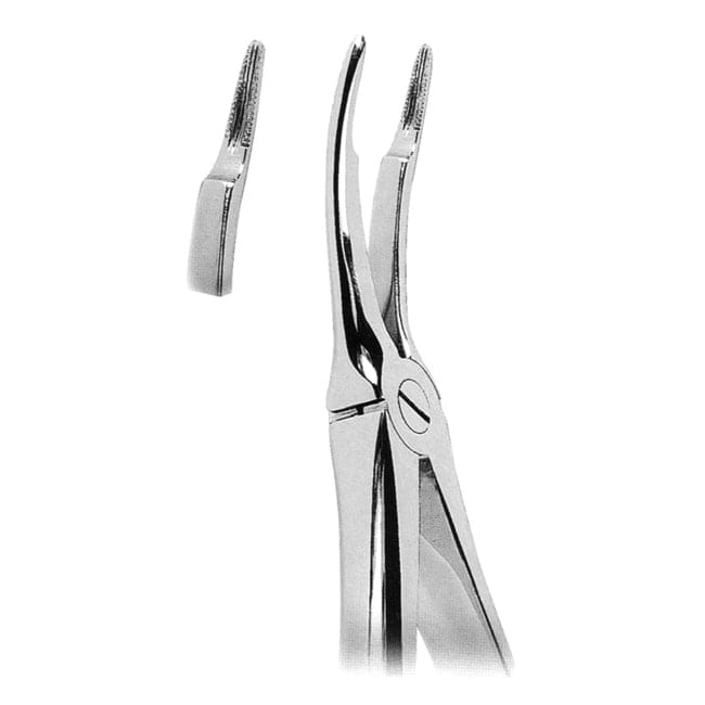 Extracting Forceps Extracting Forceps