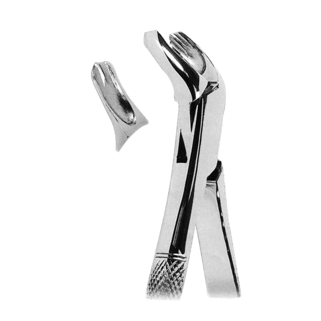 Extracting Forceps American Pattern Extracting Forceps American Pattern