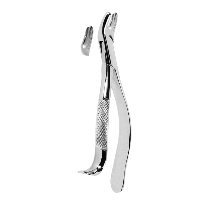 1117 Fig 18L Extracting Forceps American Pattern - Image 1
