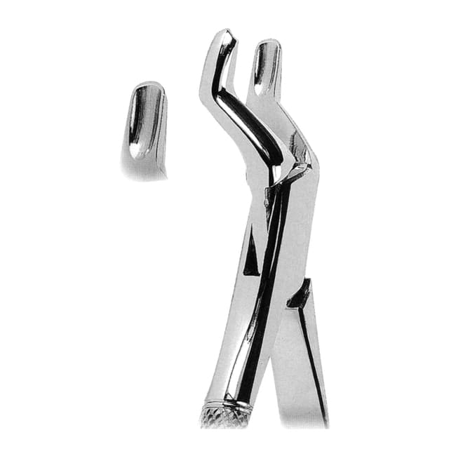 Extracting Forceps American Pattern Extracting Forceps American Pattern