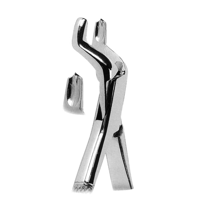 Extracting Forceps American Pattern Extracting Forceps American Pattern