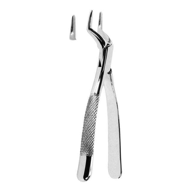 Extracting Forceps American Pattern Extracting Forceps American Pattern