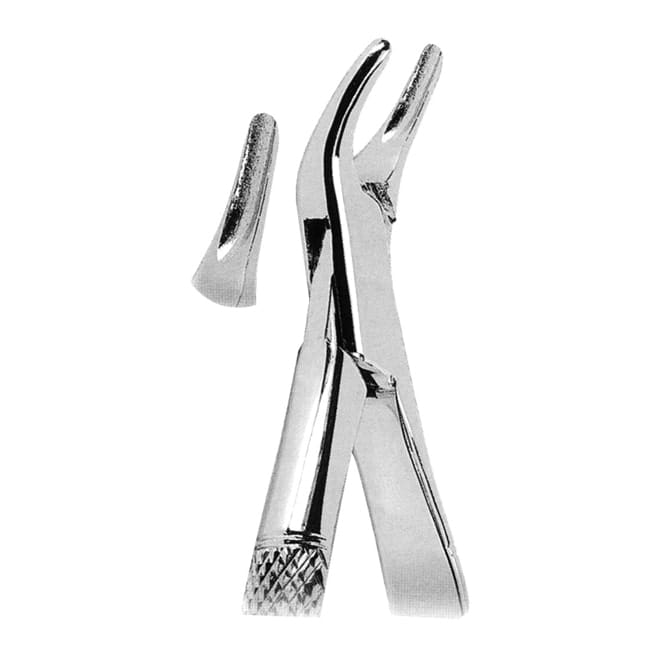 Extracting Forceps American Pattern Extracting Forceps American Pattern