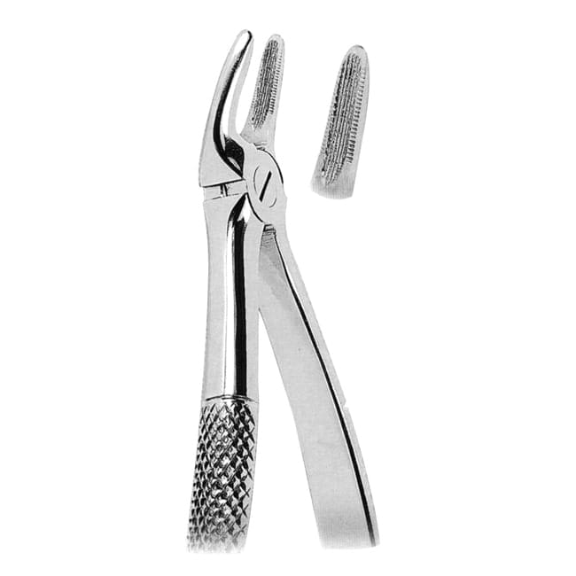 Extracting Forceps American Pattern Extracting Forceps American Pattern