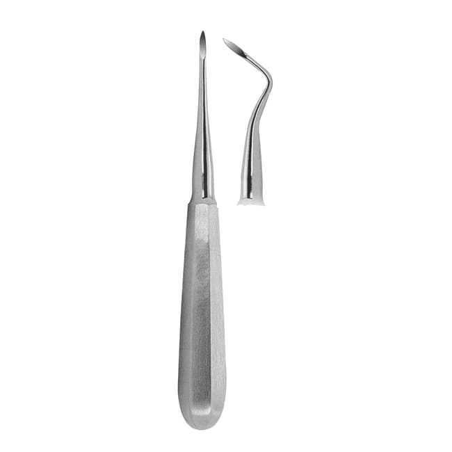 Root-Tip Picks Root-Tip Picks
