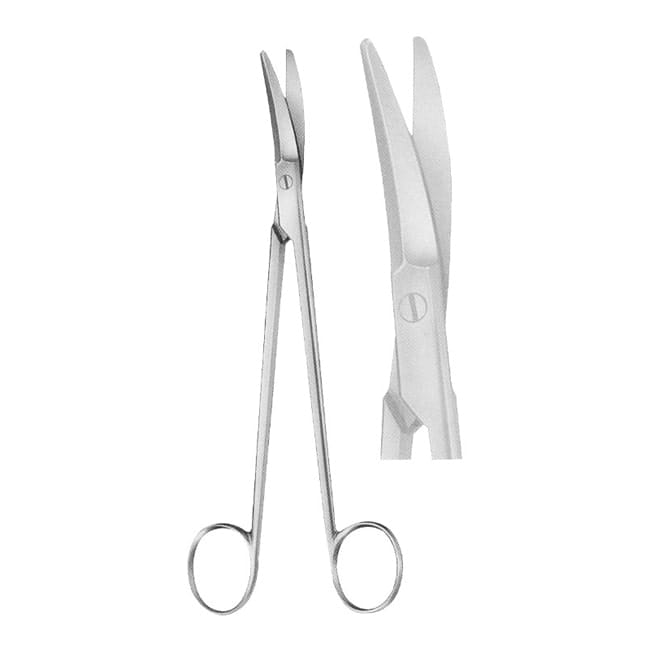 Oral Scissors Oral Scissors