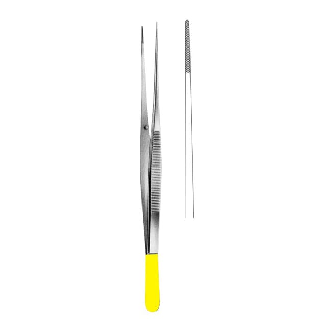 TC Dissecting Forceps TC Dissecting Forceps