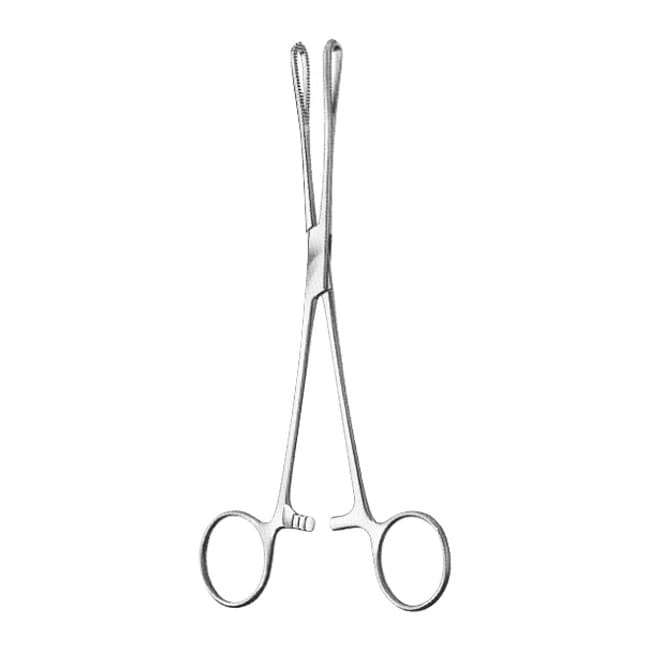 Sponge Holding Forceps Sponge Holding Forceps