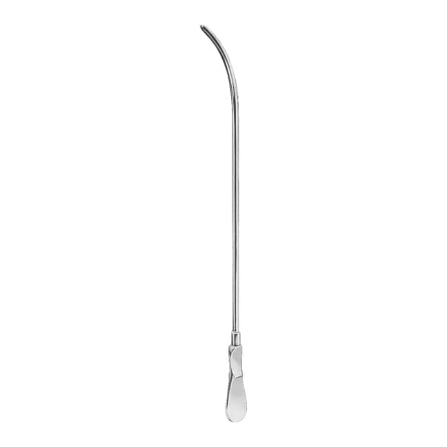 Urology Urology