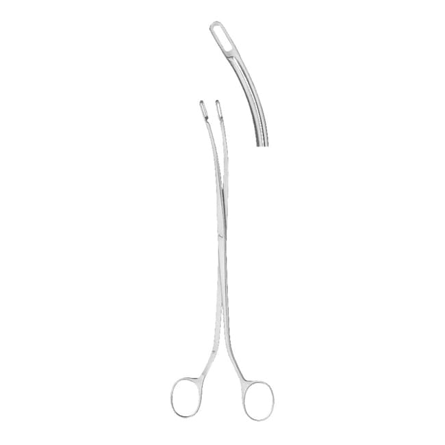 Urology Urology